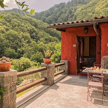 Agriturismo Pera Di Basso Casamicciola Terme Dış mekan fotoğraf