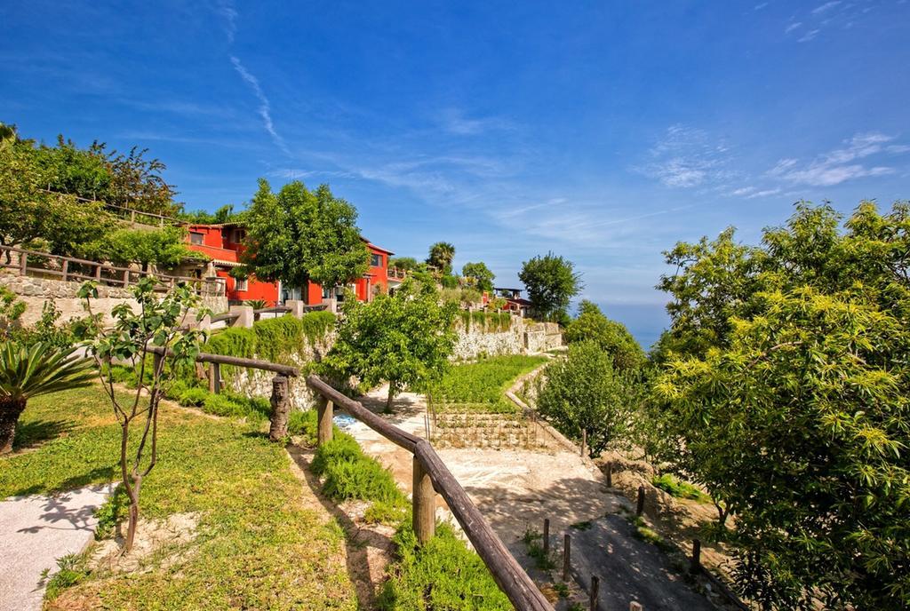 Agriturismo Pera Di Basso Casamicciola Terme Dış mekan fotoğraf