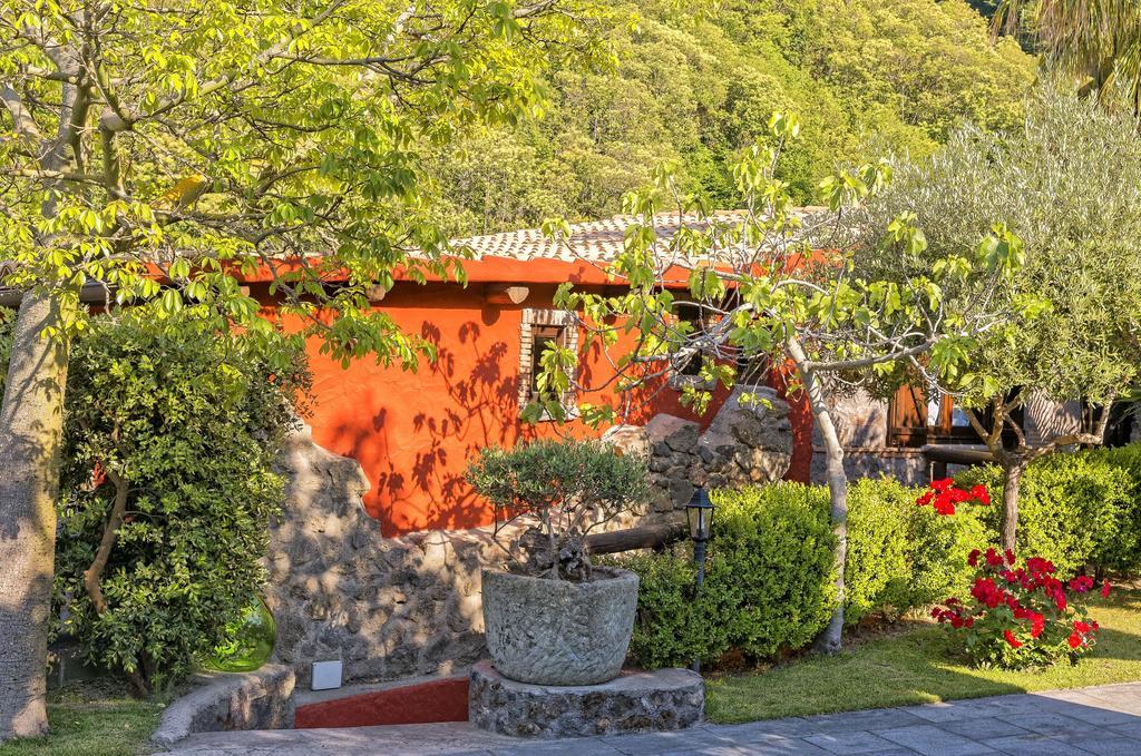Agriturismo Pera Di Basso Casamicciola Terme Dış mekan fotoğraf