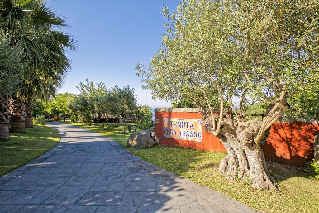 Agriturismo Pera Di Basso Casamicciola Terme Dış mekan fotoğraf