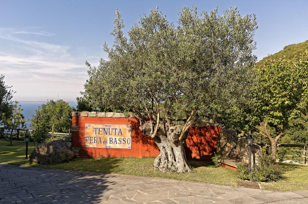 Agriturismo Pera Di Basso Casamicciola Terme Dış mekan fotoğraf