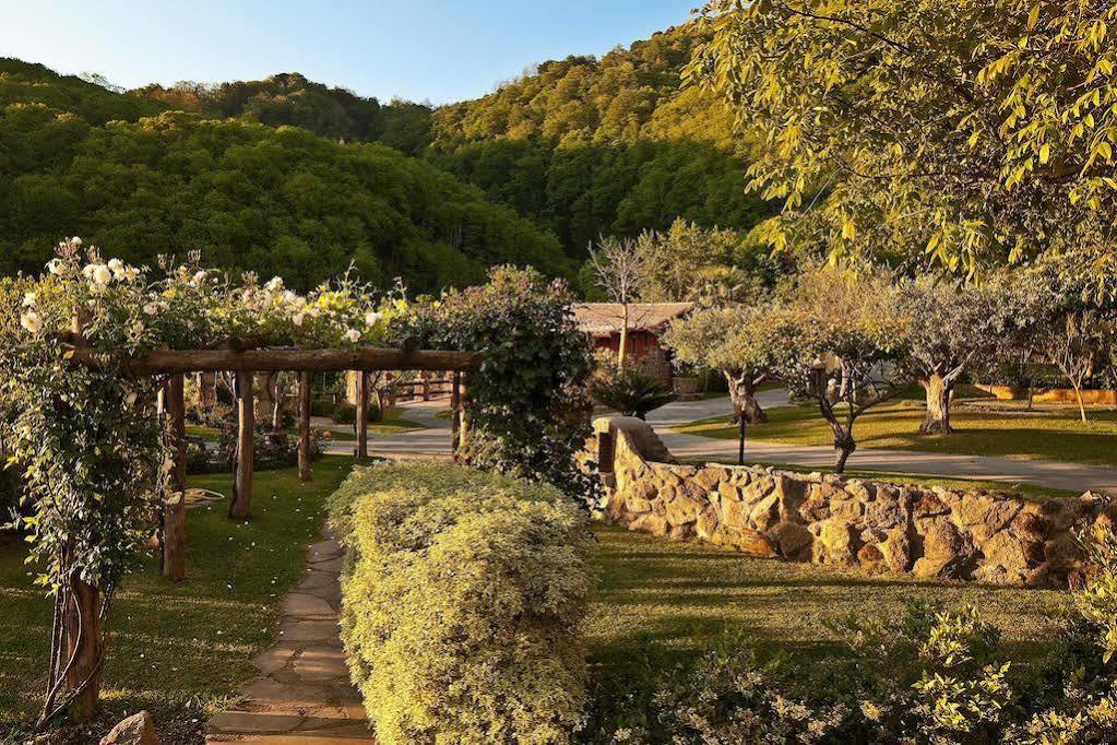 Agriturismo Pera Di Basso Casamicciola Terme Dış mekan fotoğraf